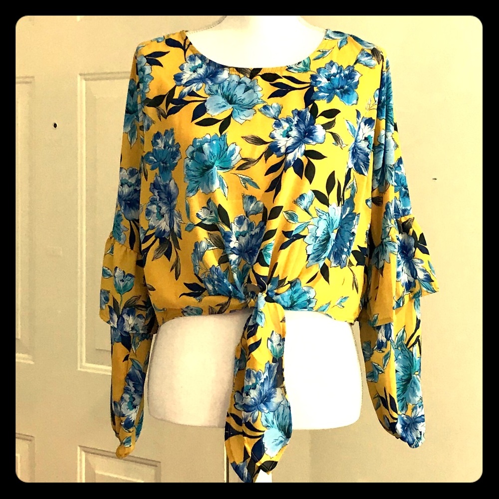 Paris to Jena long sleeve cropped blouse